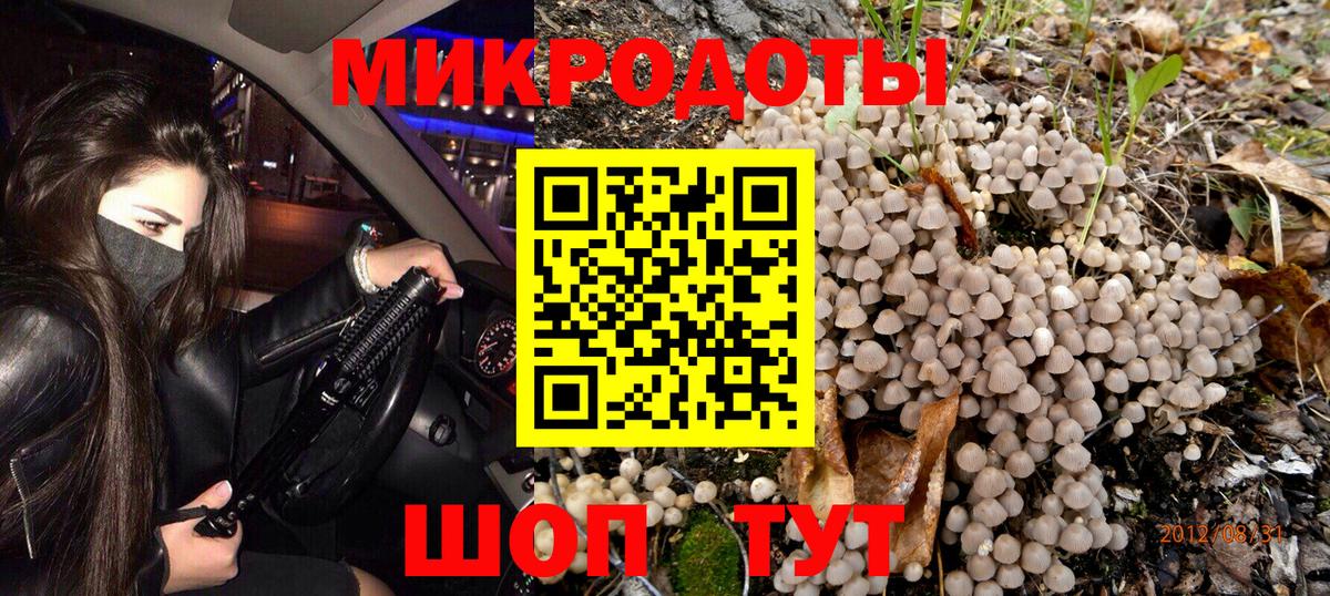 Псилоцибиновые грибы мицелий Котельники